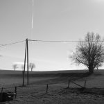 photo en en noir et blanc, prise par Robin Girard, d'un champ et un poteau et un arbre isolé